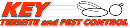 key-termite-logo